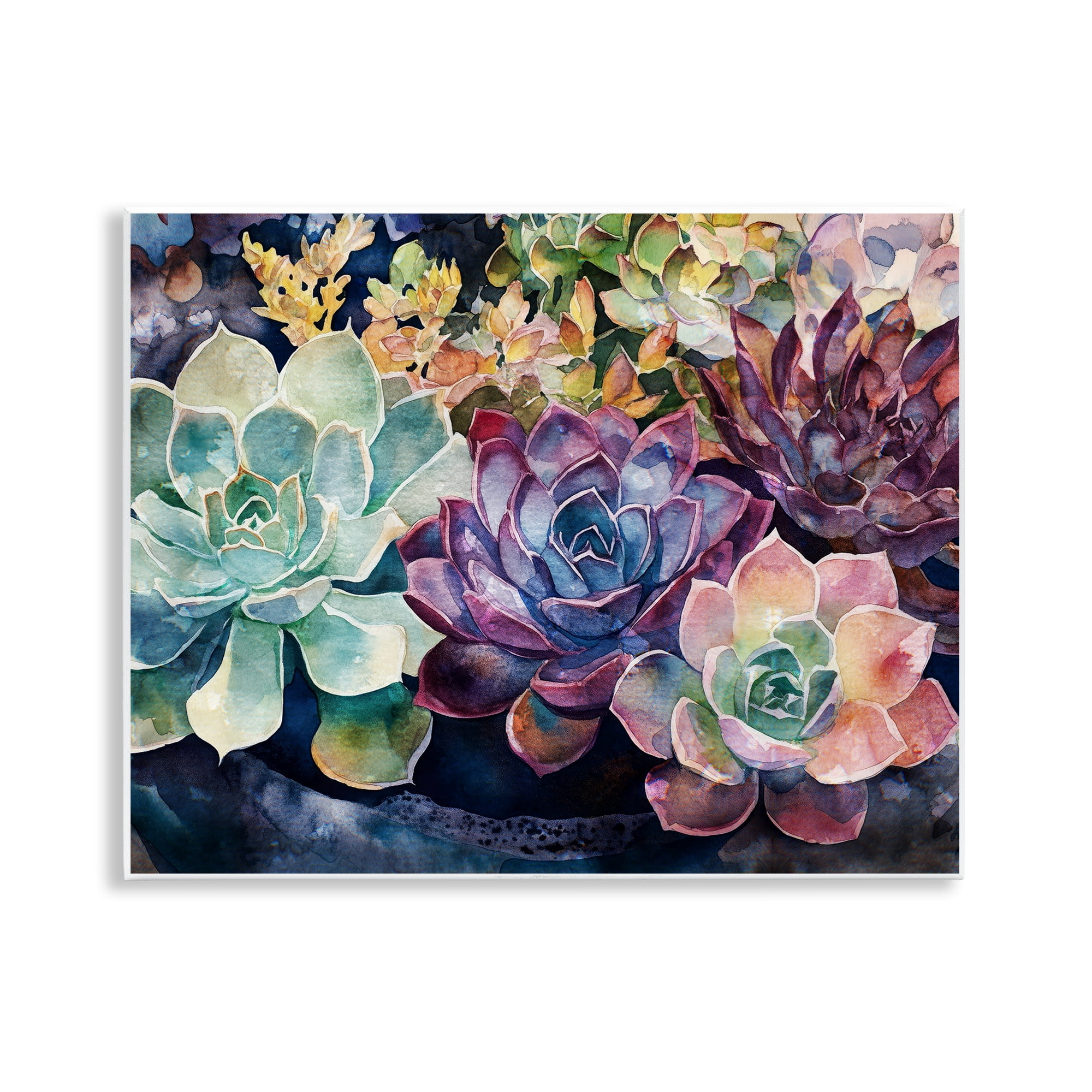 Stupell Industries Tutti Succulents Collection Wall Plaque Art, design by Svetlana Aleynikova