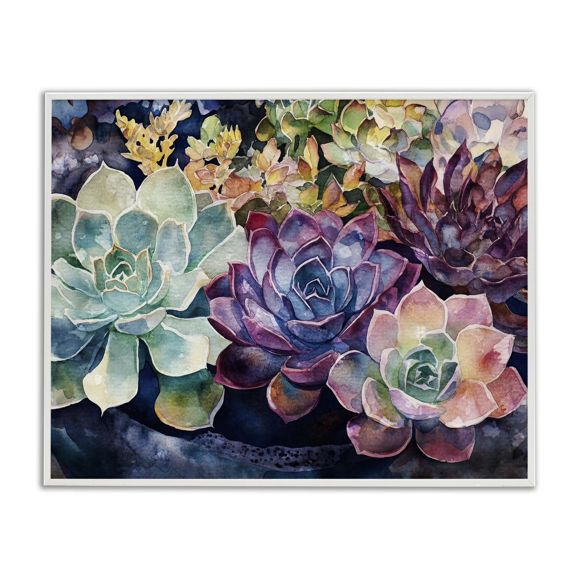 Stupell Industries Tutti Succulents Collection White Framed Giclee Art, design by Svetlana Aleynikova
