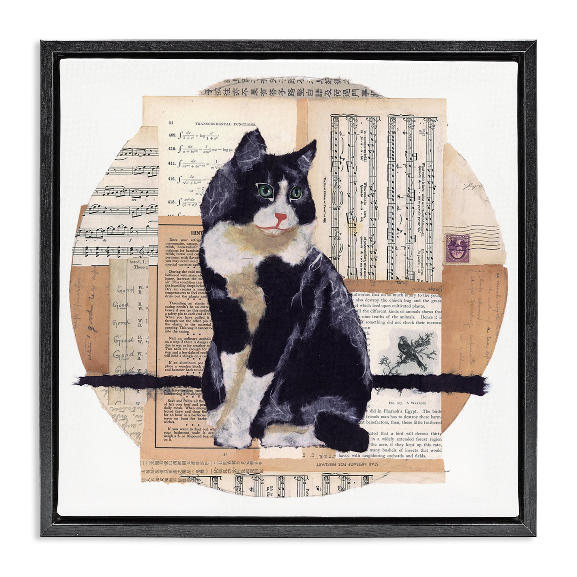 Stupell Industries Tuxedo Cat Collage Animals & Insects Painting Black Floater Framed Canvas Art Print Wall Art, 25 x 25