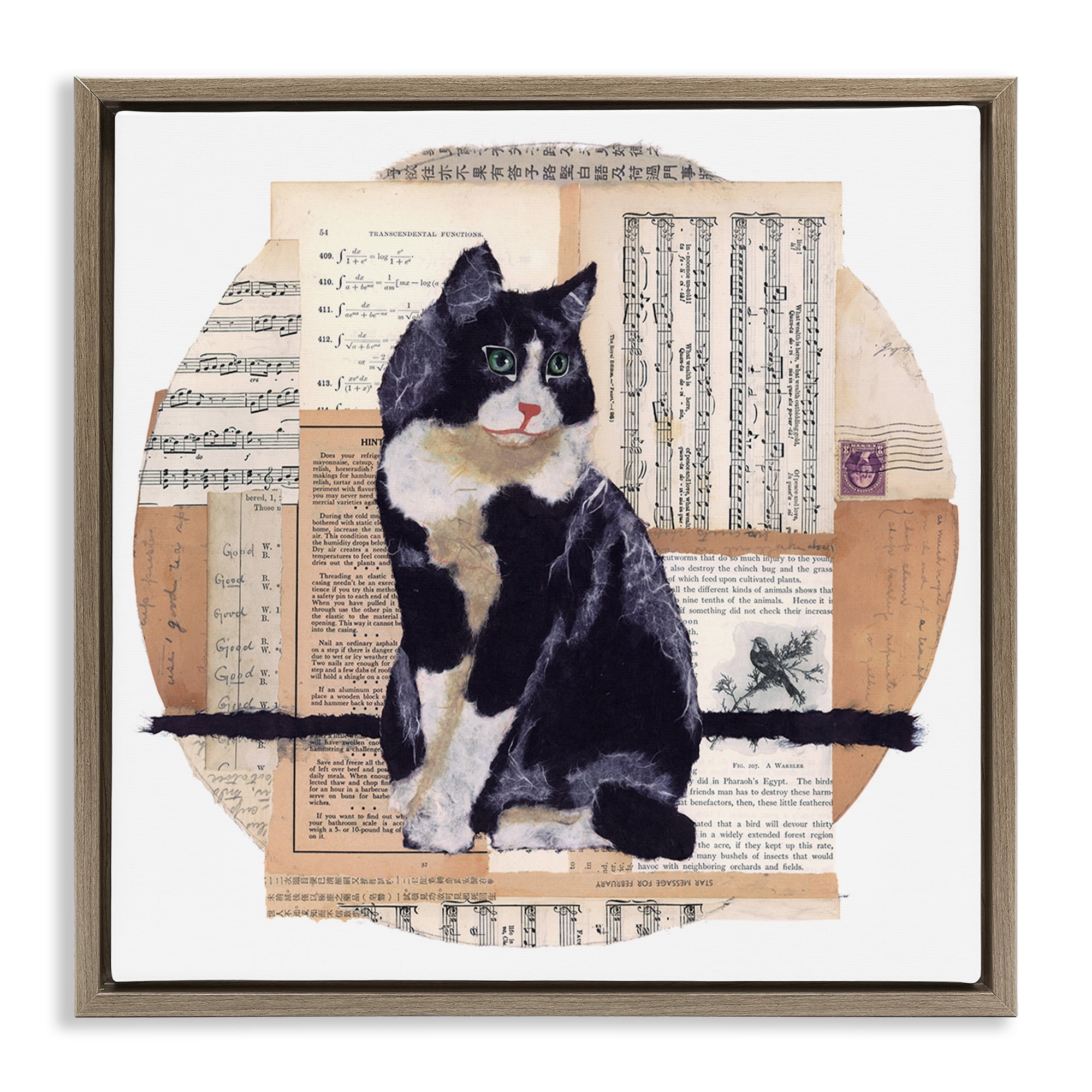 Stupell Industries Tuxedo Cat Collage Animals & Insects Painting Brown Floater Framed Canvas Art Print Wall Art, 18 x 18