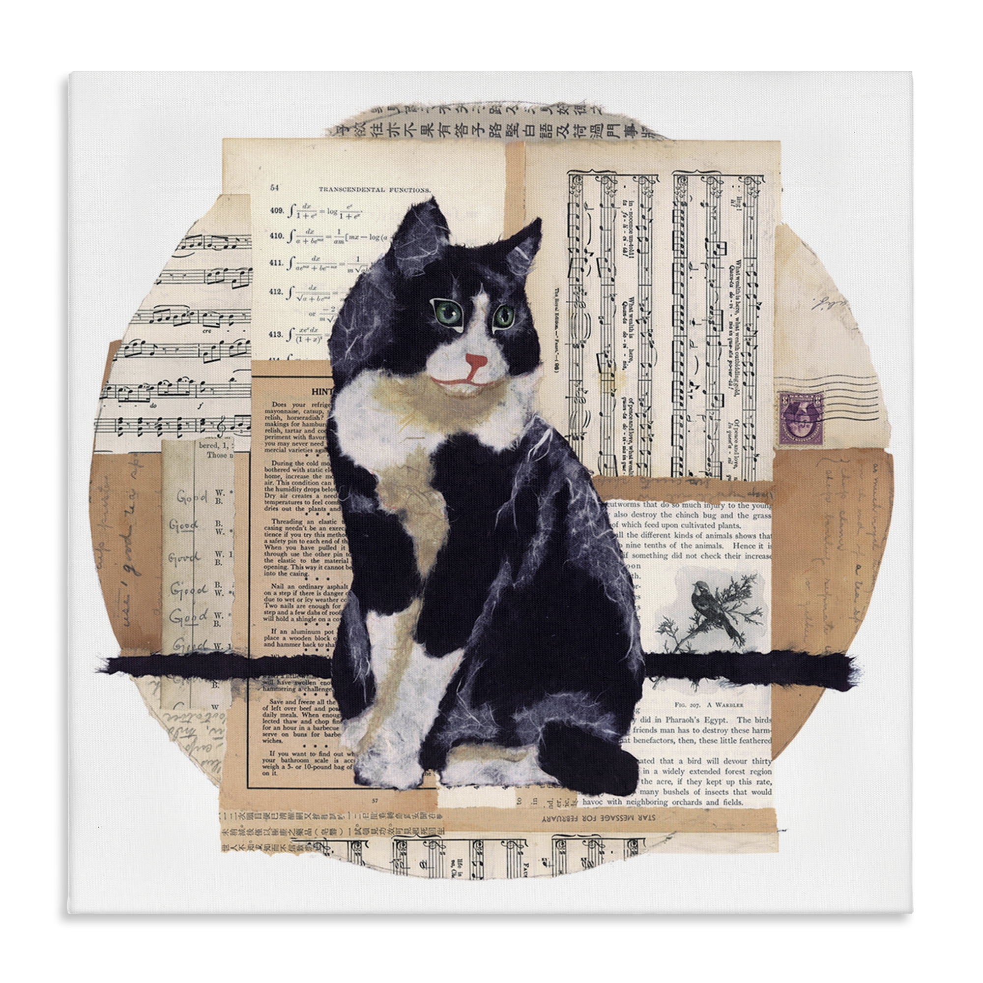Stupell Industries Tuxedo Cat Collage Animals & Insects Painting Gallery Wrapped Canvas Art Print Wall Art, 24 x 24