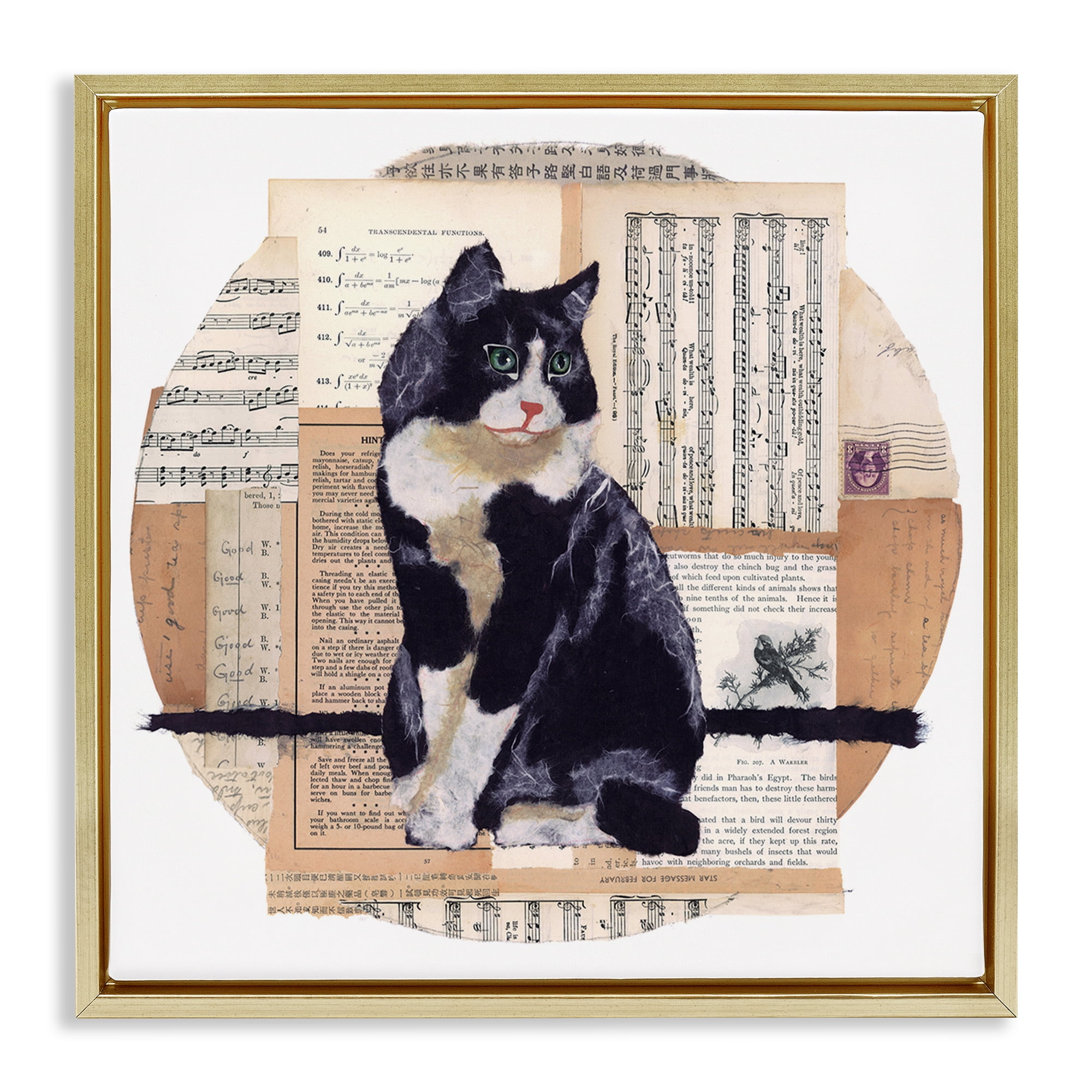 Stupell Industries Tuxedo Cat Collage Animals & Insects Painting Gold Floater Framed Canvas Art Print Wall Art, 25 x 25