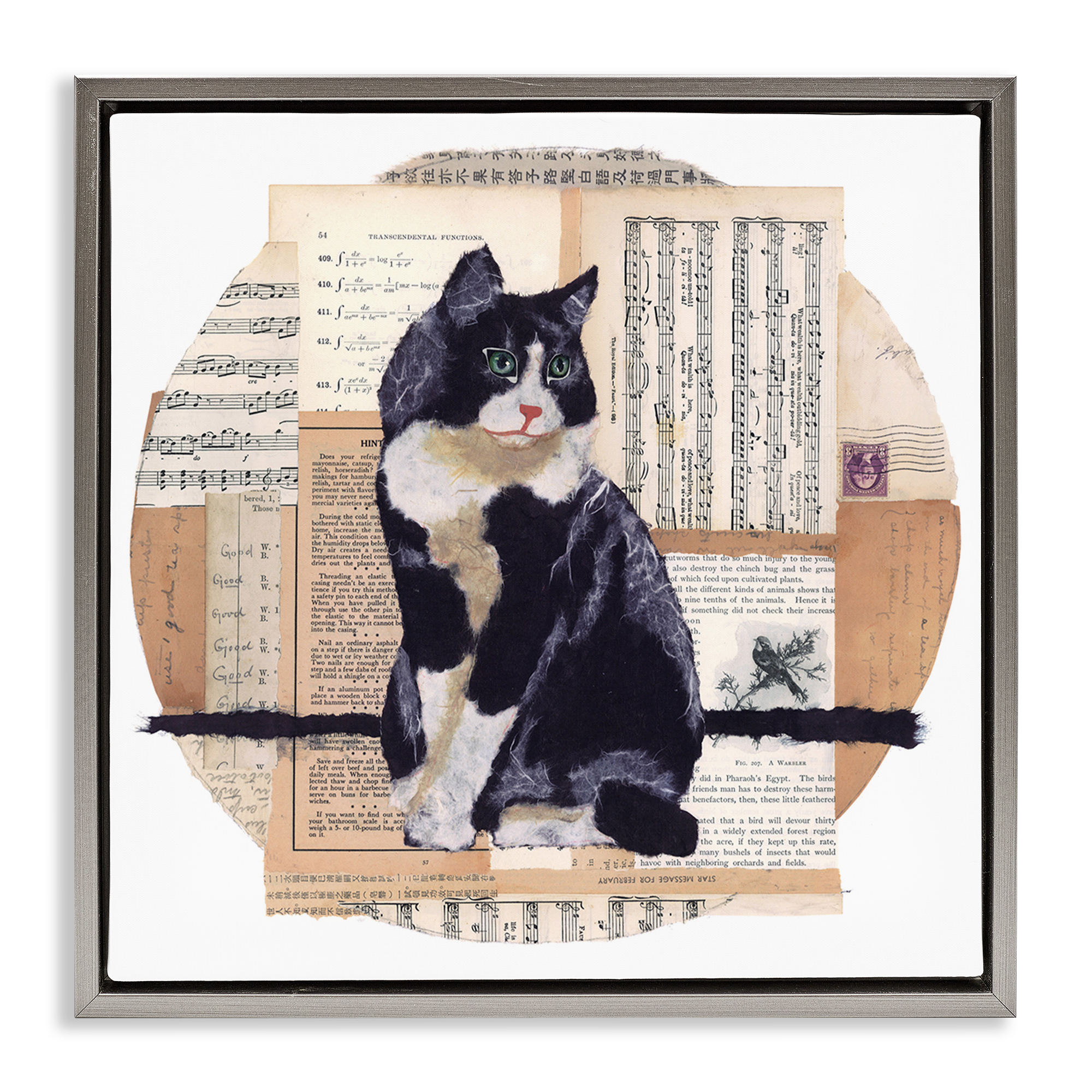 Stupell Industries Tuxedo Cat Collage Animals & Insects Painting Gray Floater Framed Canvas Art Print Wall Art, 18 x 18
