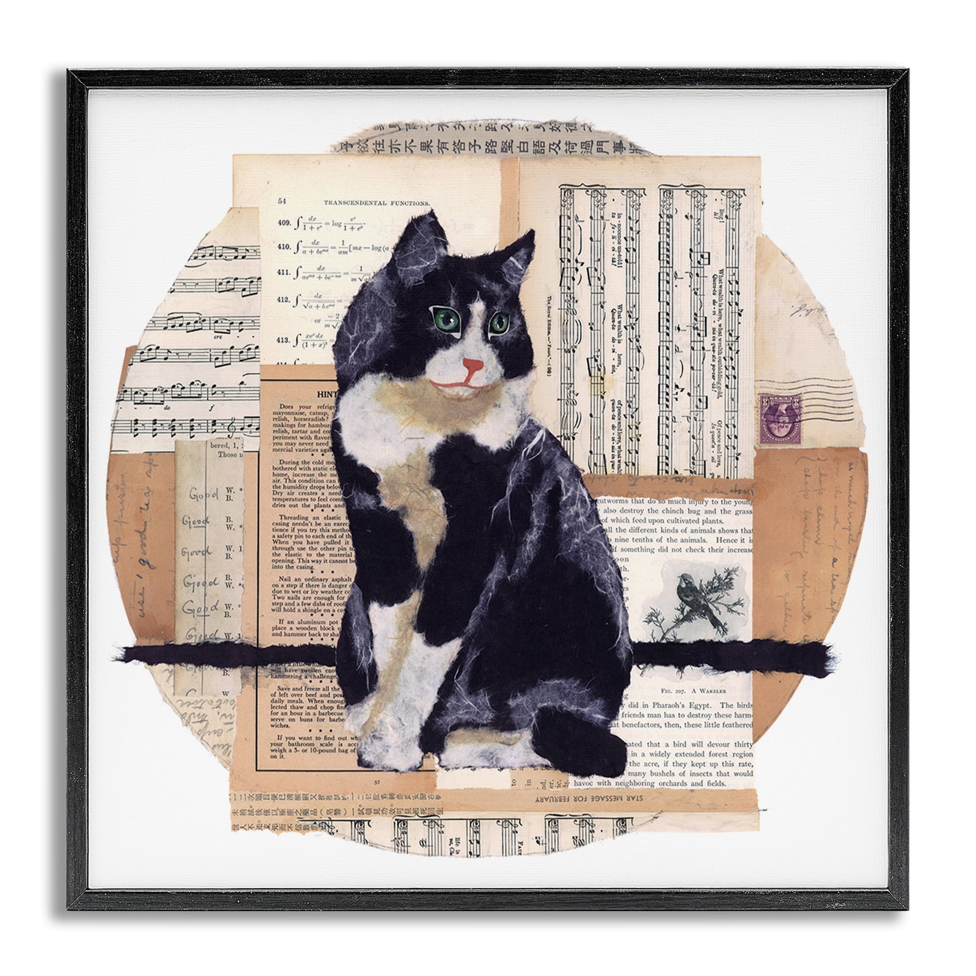 Stupell Industries Tuxedo Cat Collage Animals & Insects Painting Gray Framed Art Print Wall Art, 24 x 24