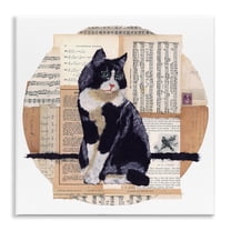 Stupell Industries Tuxedo Cat Collage Animals & Insects Painting Unframed Art Print Wall Art, 12 x 12