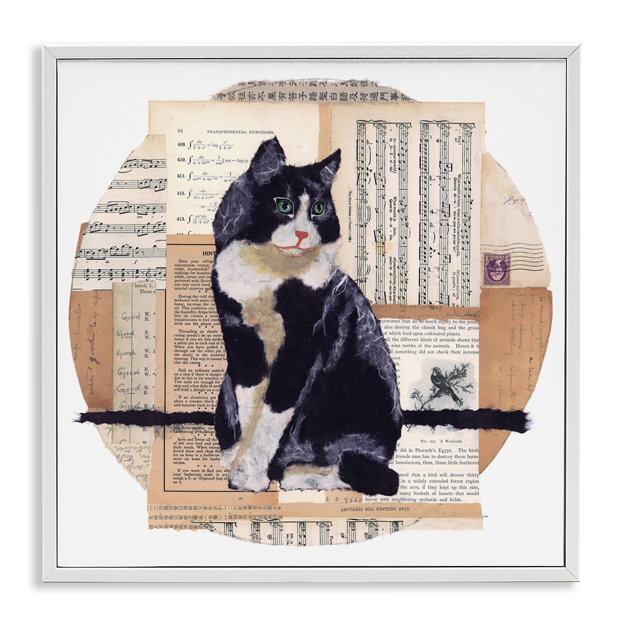 Stupell Industries Tuxedo Cat Collage Animals & Insects Painting White Framed Art Print Wall Art, 24 x 24