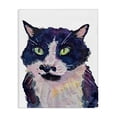 thumbnail image 1 of Tuxedo Cat Painting Canvas Art, 24 x 30, Made In USA, 1 of 6