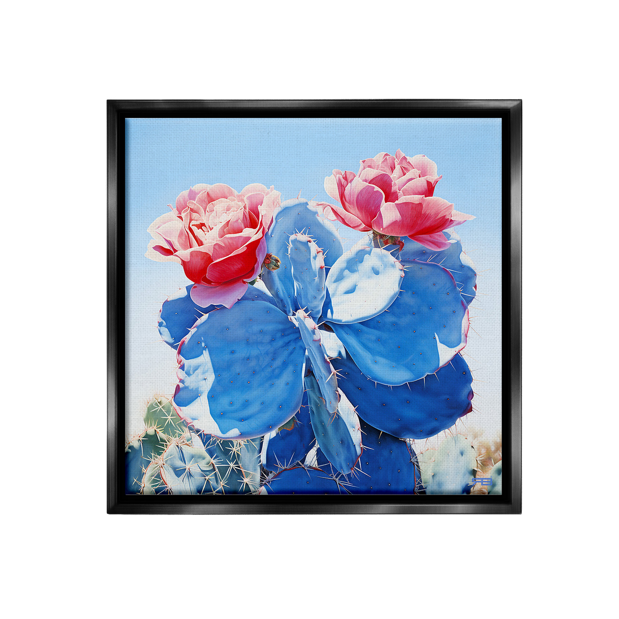Stupell Industries Twin Cactus Blossoms Botanical & Floral Painting Black Floater Framed Canvas Art Print Wall Art, 18 x 18