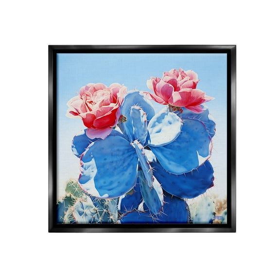 Stupell Industries Twin Cactus Blossoms Botanical & Floral Painting Black Floater Framed Canvas Art Print Wall Art, 18 x 18