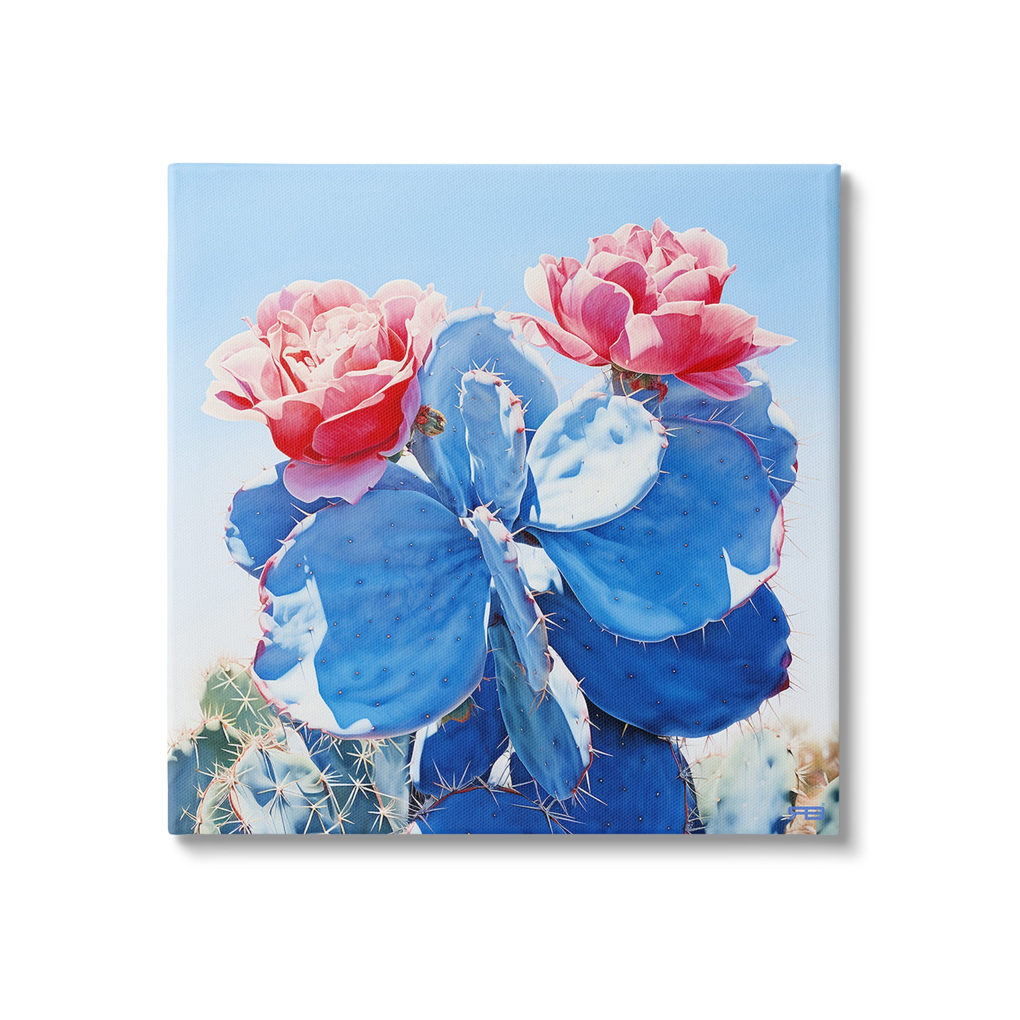 Stupell Industries Twin Cactus Blossoms Botanical & Floral Painting Gallery Wrapped Canvas Art Print Wall Art, 36 x 36