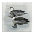 thumbnail image 1 of Stupell Industries Twin Loons in Water Animals Painting Wrapped Canvas Art Print Wall Art, 30 x 30, 1 of 8