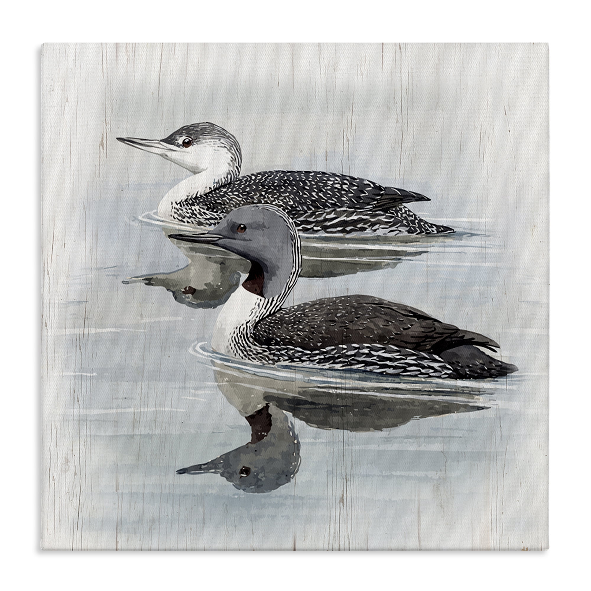 Stupell Industries Twin Loons in Water Animals Painting Wrapped Canvas Art Print Wall Art, 36 x 36