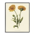 thumbnail image 1 of Stupell Industries Traditional Twin Marigold Blooms Black Framed Giclee Art, 24 x 30, by Connie Resch, 1 of 8
