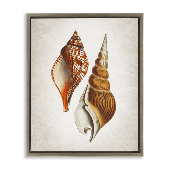 Stupell Industries Twin Spiral Seashells Animals Painting Brown Floater Framed Canvas Art Print Wall Art, 17 x 21