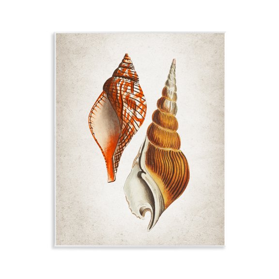 Stupell Industries Twin Spiral Seashells Animals Painting Unframed Art Print Wall Art, 11 x 14