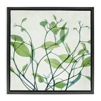 Stupell Industries Twisting Green Vines Botanical & Floral Painting Black Floater Framed Art Print Wall Art, 18 x 18