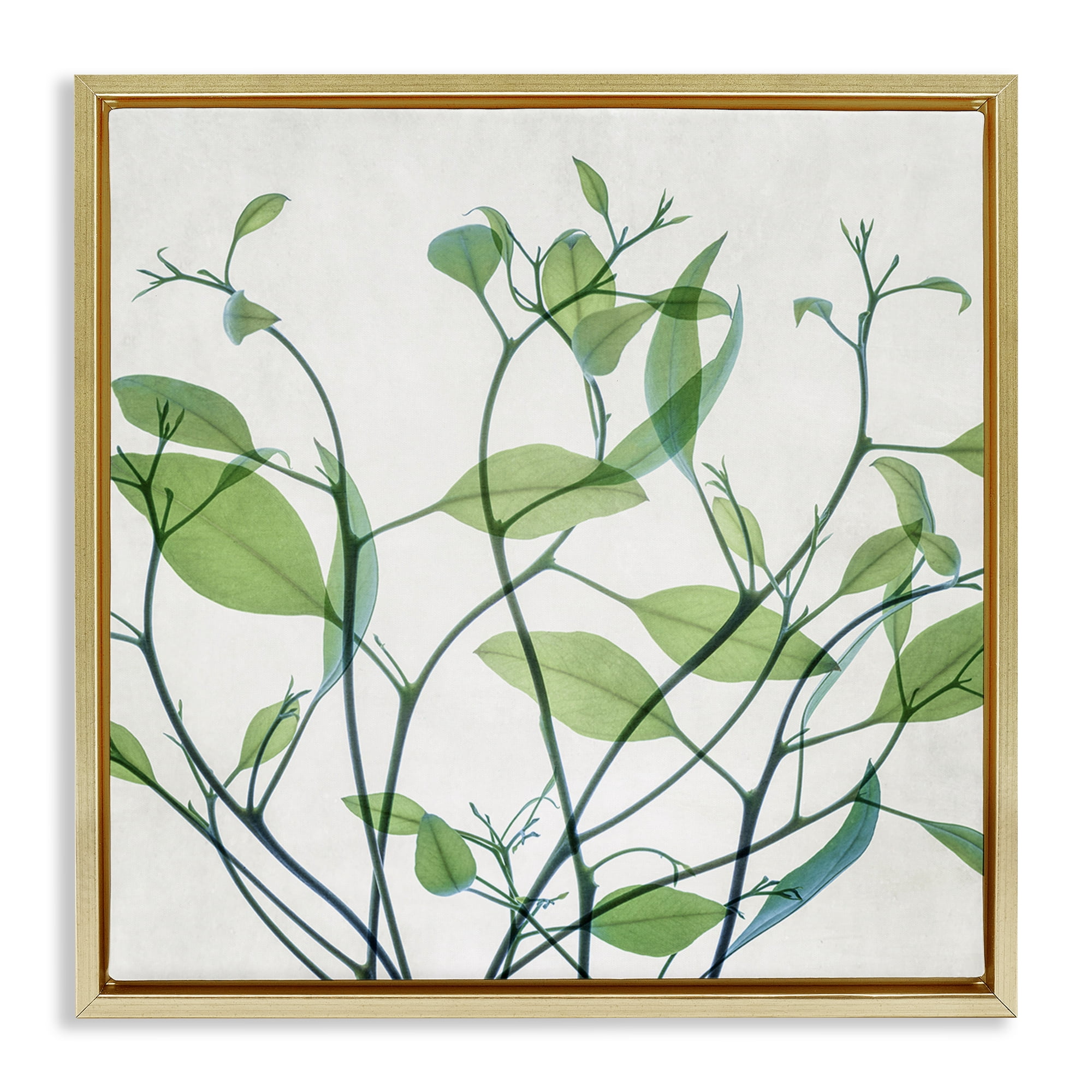 Stupell Industries Twisting Green Vines Botanical & Floral Painting Gold Floater Framed Art Print Wall Art, 18 x 18