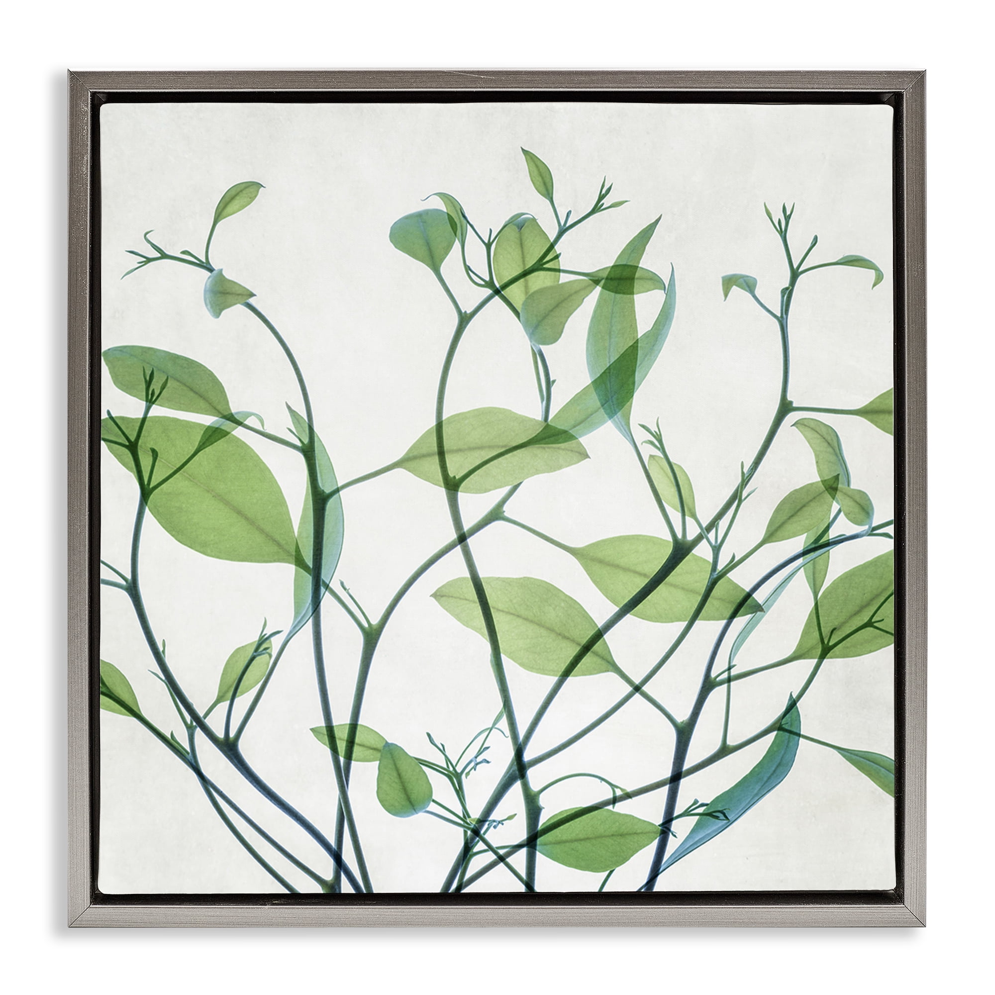Stupell Industries Twisting Green Vines Botanical & Floral Painting Gray Floater Framed Art Print Wall Art, 25 x 25