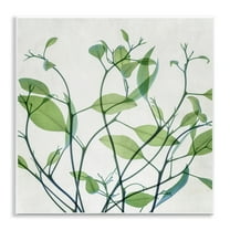 Stupell Industries Twisting Green Vines Botanical & Floral Painting Unframed Art Print Wall Art, 12 x 12