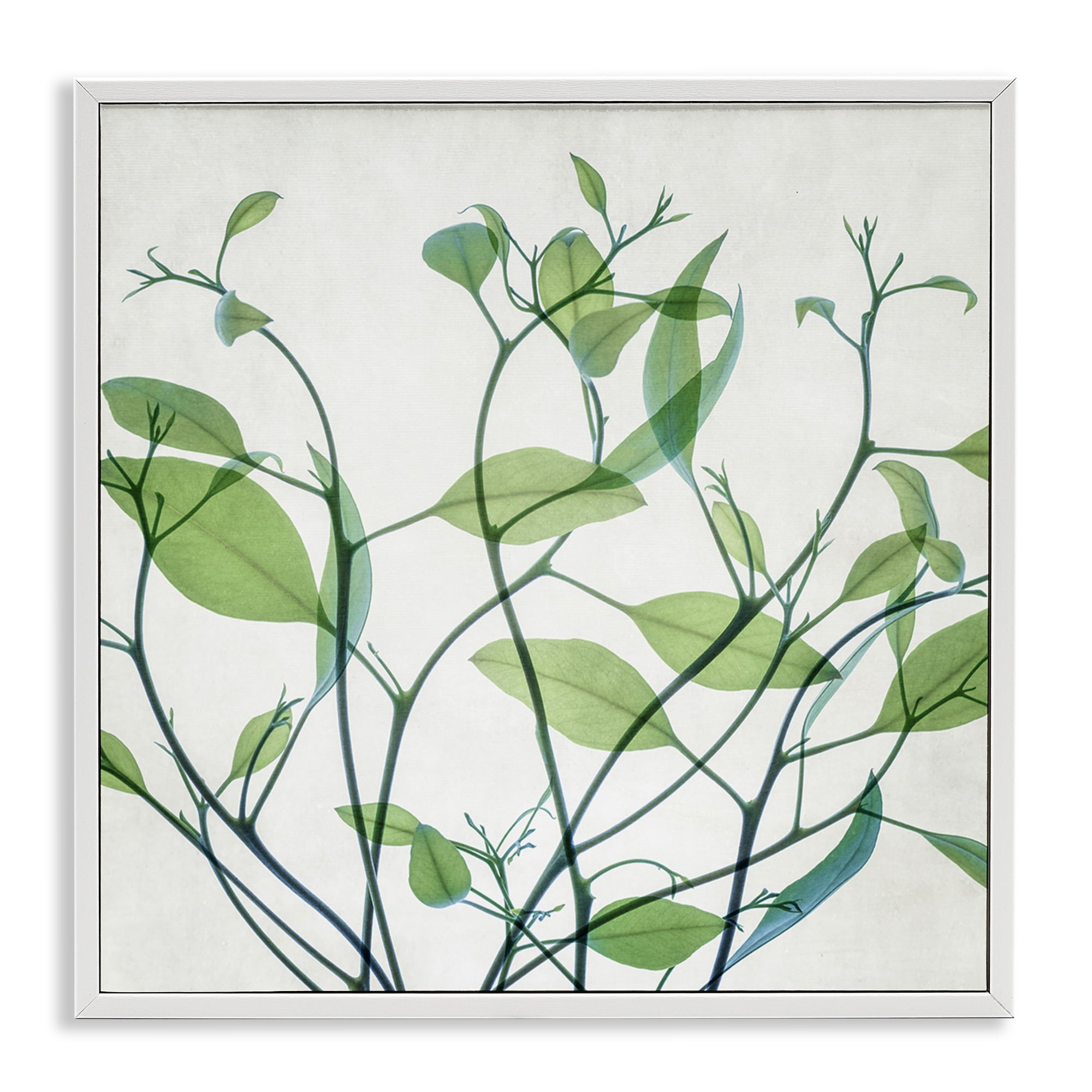 Stupell Industries Twisting Green Vines Botanical & Floral Painting White Framed Art Print Wall Art, 12 x 12