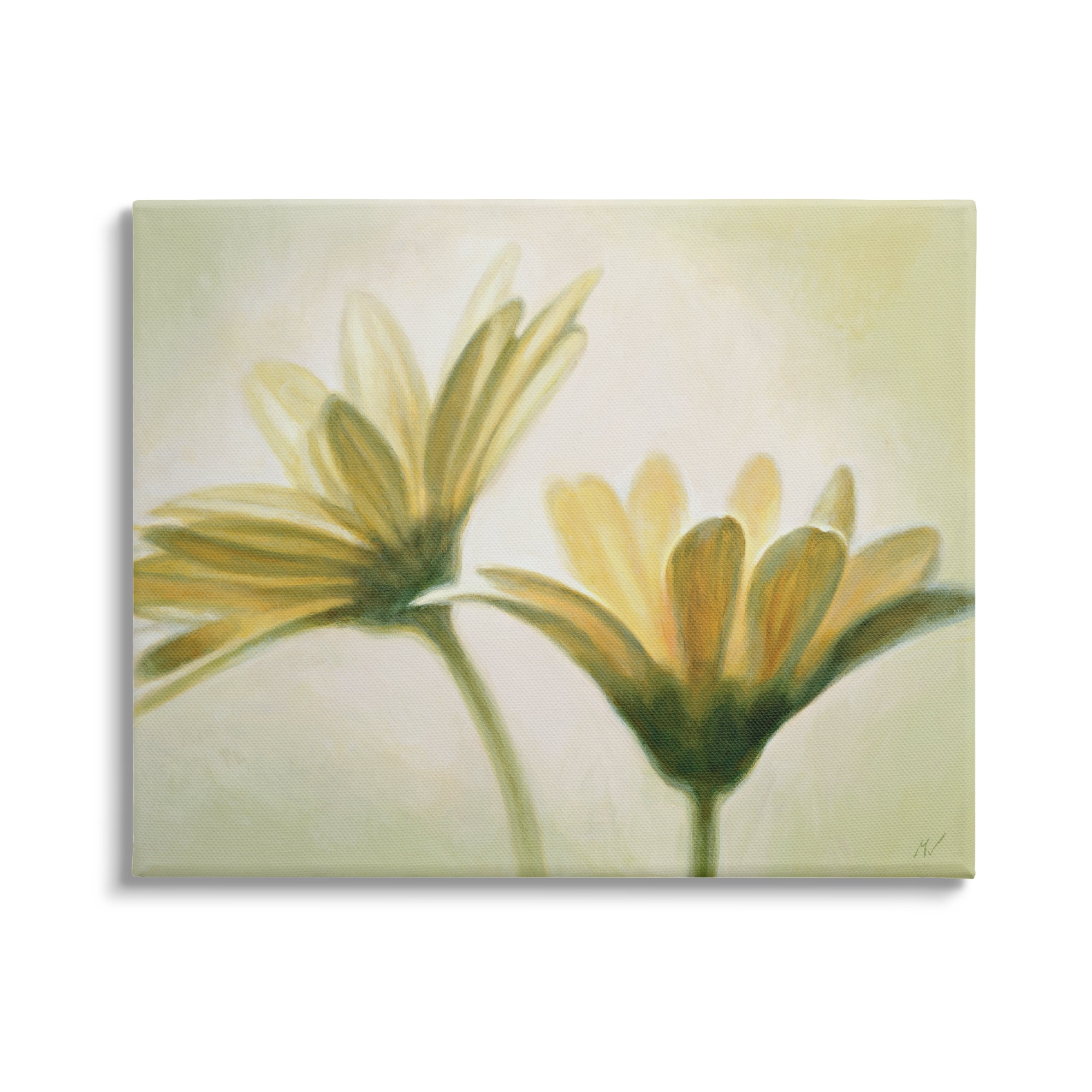 Stupell Industries Two Daisies Painting Botanical & Floral Painting Gallery Wrapped Canvas Art Print Wall Art, 30 x 24