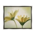 thumbnail image 1 of Stupell Industries Two Daisies Painting Botanical & Floral Painting Gray Floater Framed Canvas Art Print Wall Art, 21 x 17, 1 of 10