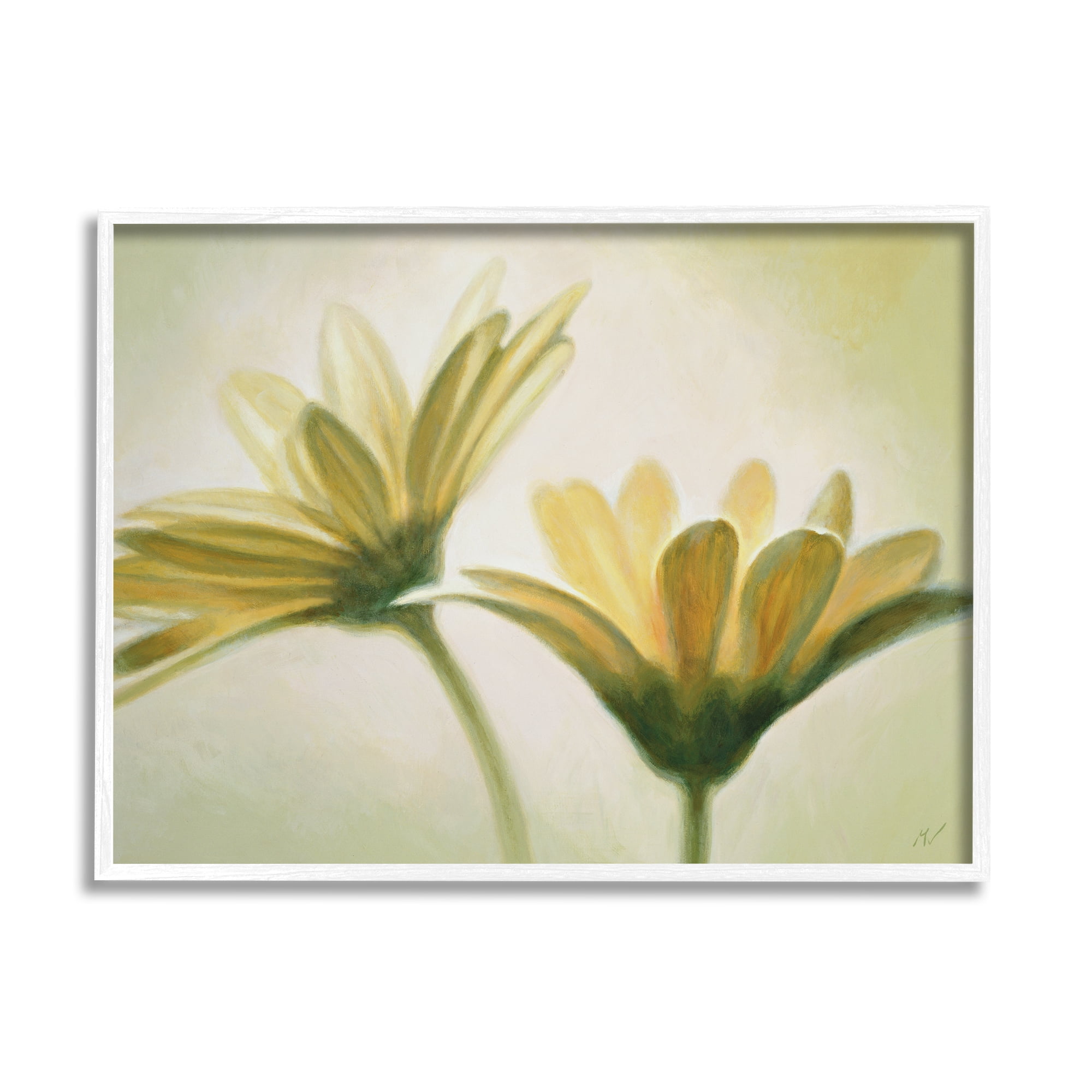 Stupell Industries Two Daisies Painting Botanical & Floral Painting White Framed Art Print Wall Art, 20 x 16