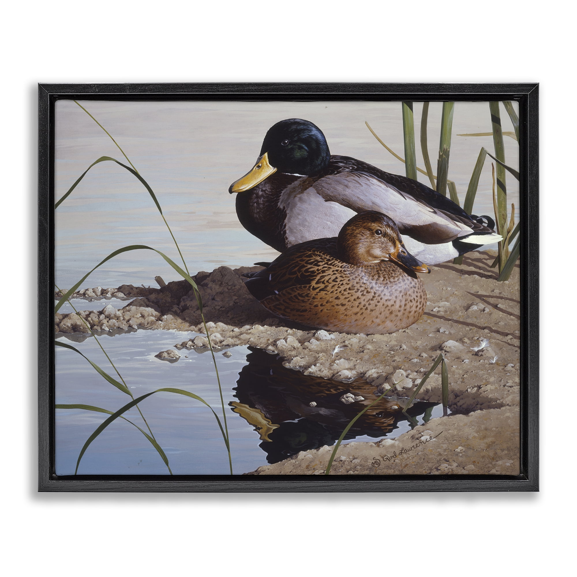 Stupell Industries Two Ducks Water's Edge Animals Painting Black Floater Framed Canvas Art Print Wall Art, 31 x 25
