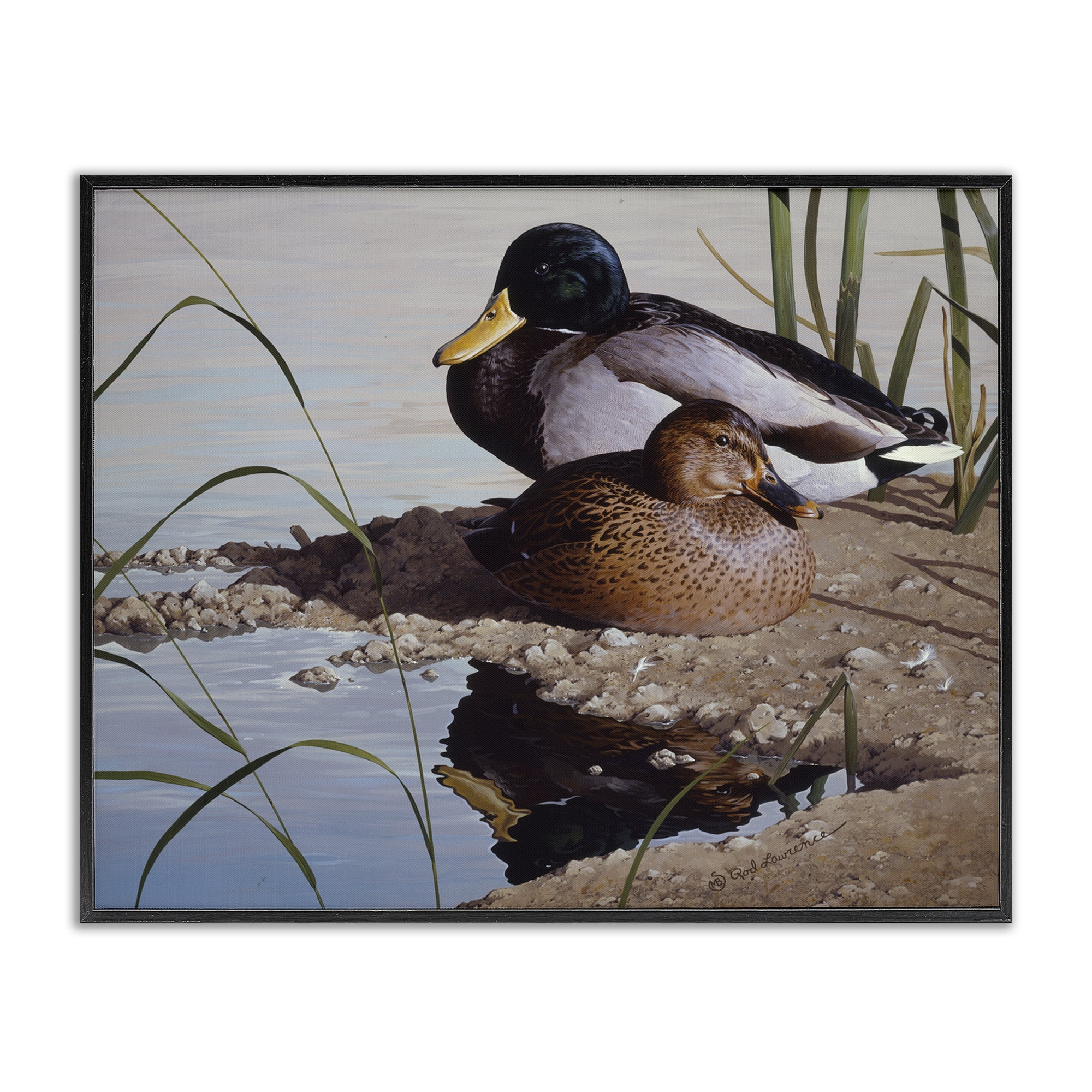 Stupell Industries Two Ducks Water's Edge Animals Painting Black Framed Art Print Wall Art, 30 x 24