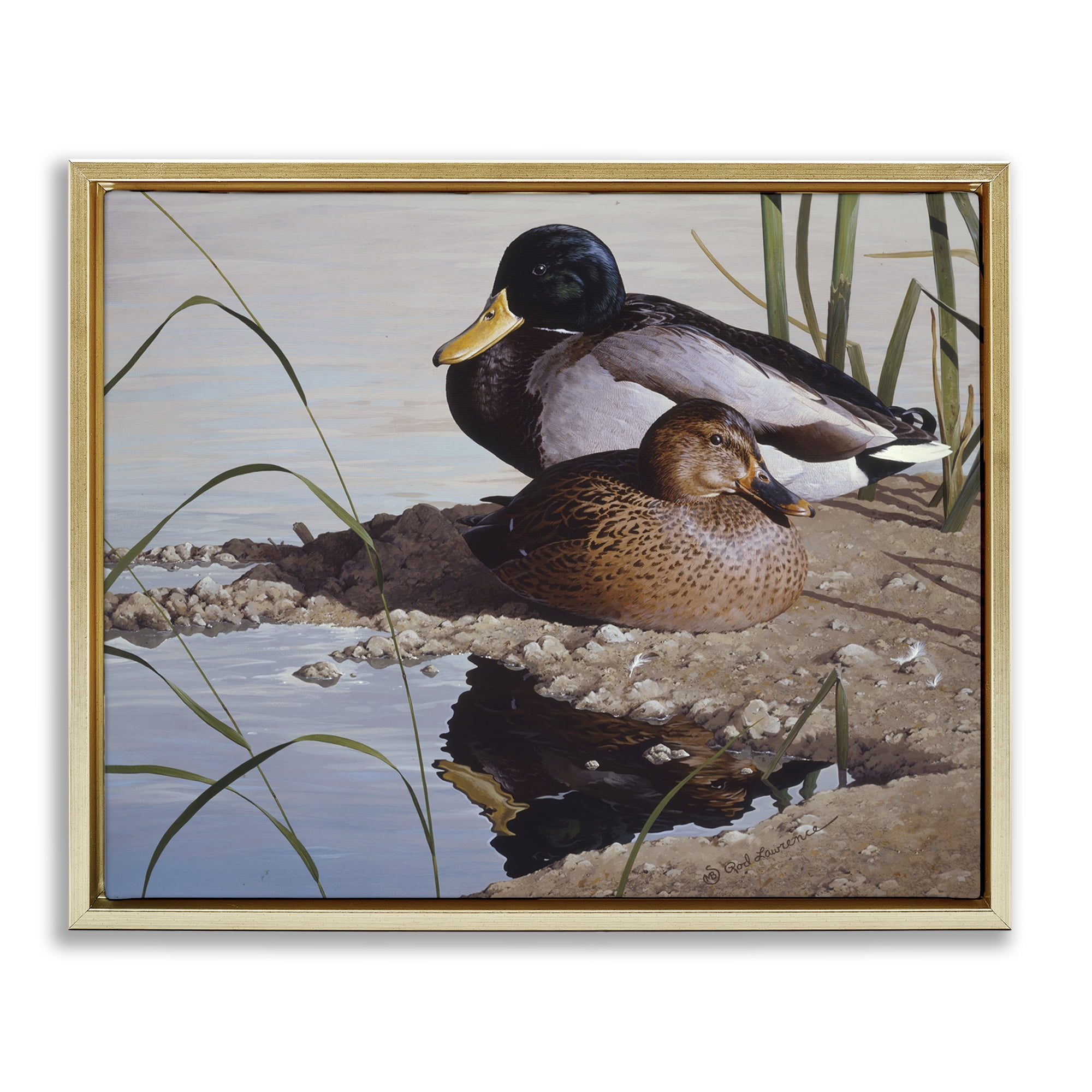 Stupell Industries Two Ducks Water's Edge Animals Painting Gold Floater Framed Canvas Art Print Wall Art, 21 x 17