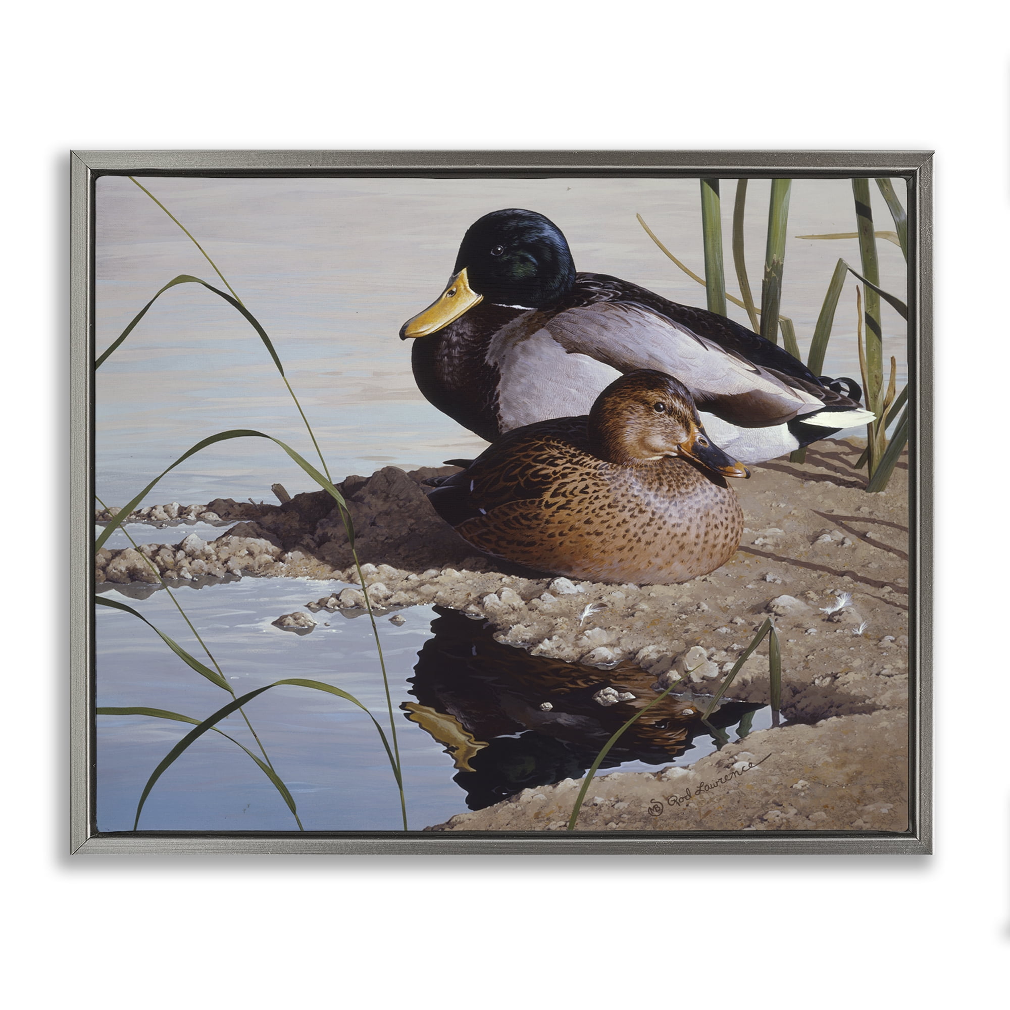 Stupell Industries Two Ducks Water's Edge Animals Painting Gray Floater Framed Canvas Art Print Wall Art, 31 x 25