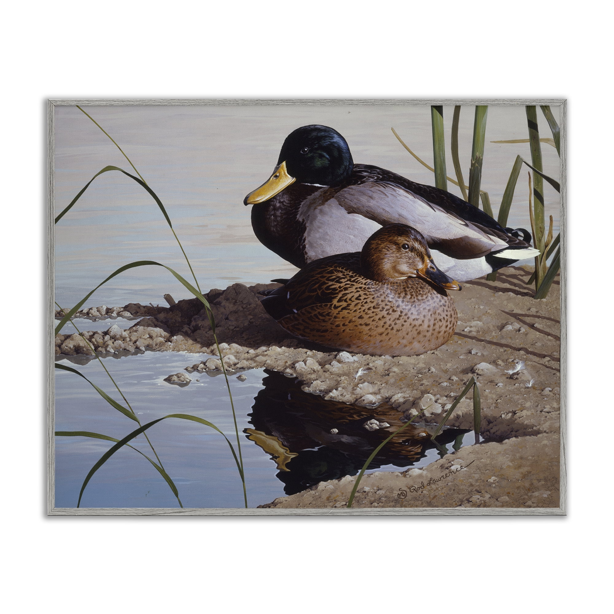 Stupell Industries Two Ducks Water's Edge Animals Painting Gray Framed Art Print Wall Art, 14 x 11