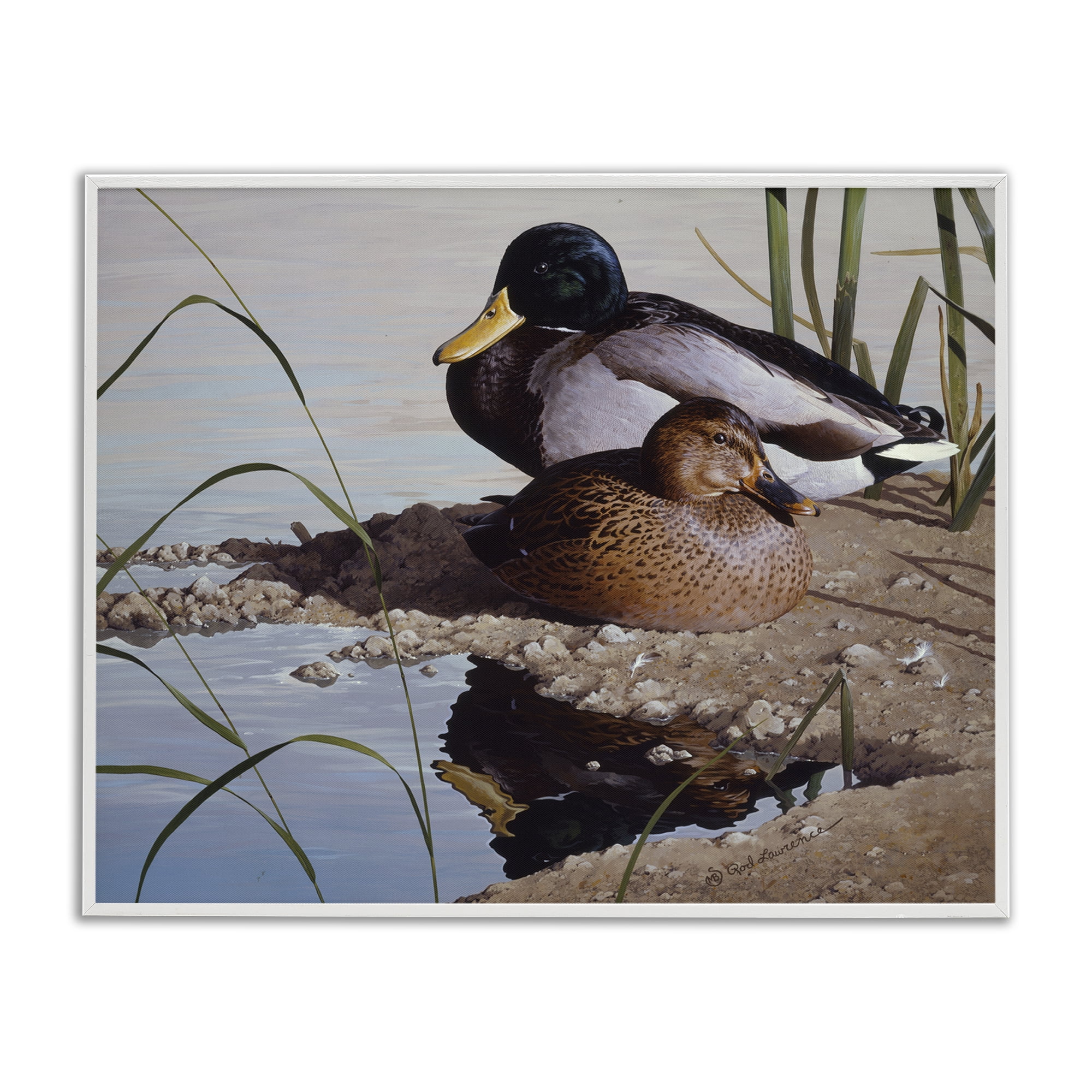 Stupell Industries Two Ducks Water's Edge Animals Painting White Framed Art Print Wall Art, 14 x 11