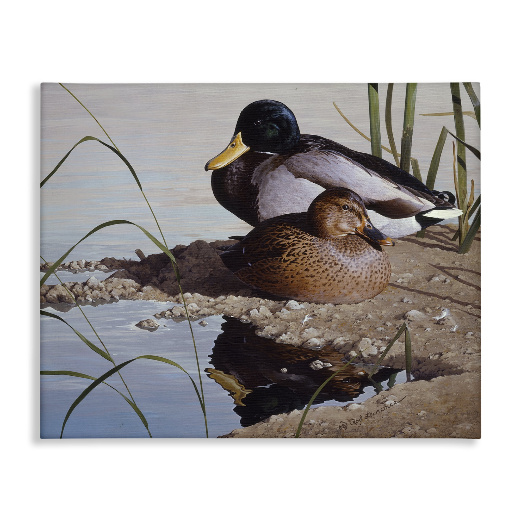 Stupell Industries Two Ducks Water's Edge Animals Painting Wrapped Canvas Art Print Wall Art, 20 x 16