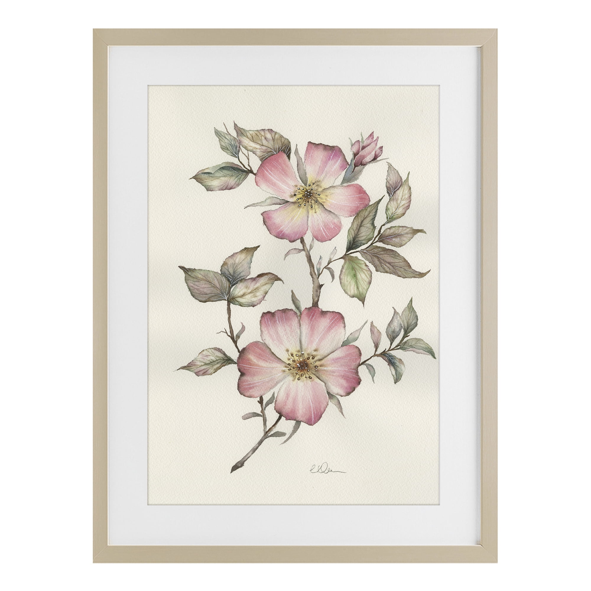 Stupell Industries Two Flowers Natural Study Birch Framed Print Under Glass, design by Cady Driver