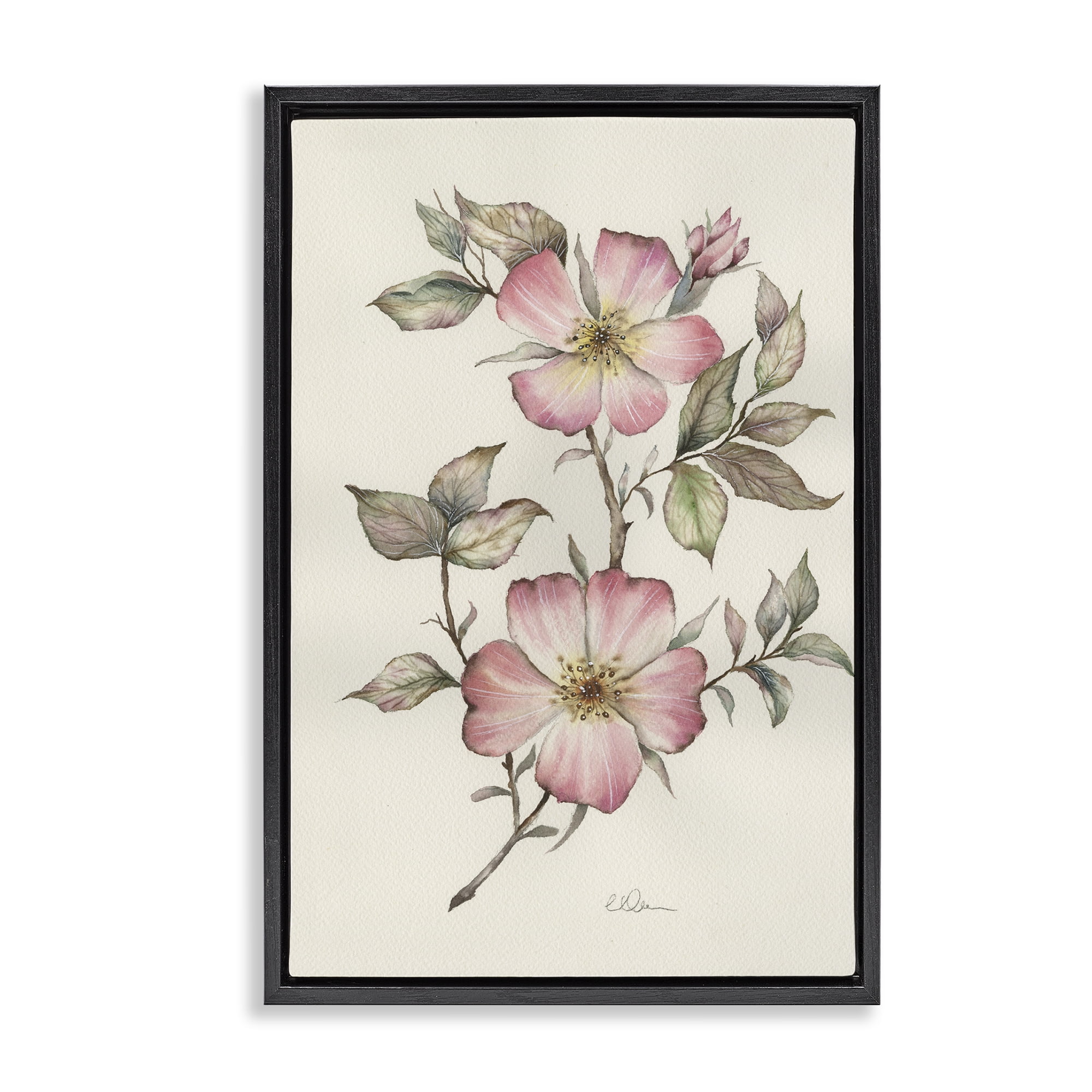Stupell Industries Two Flowers Natural Study Black Framed Floater Canvas Wall Art, design by Cady Driver