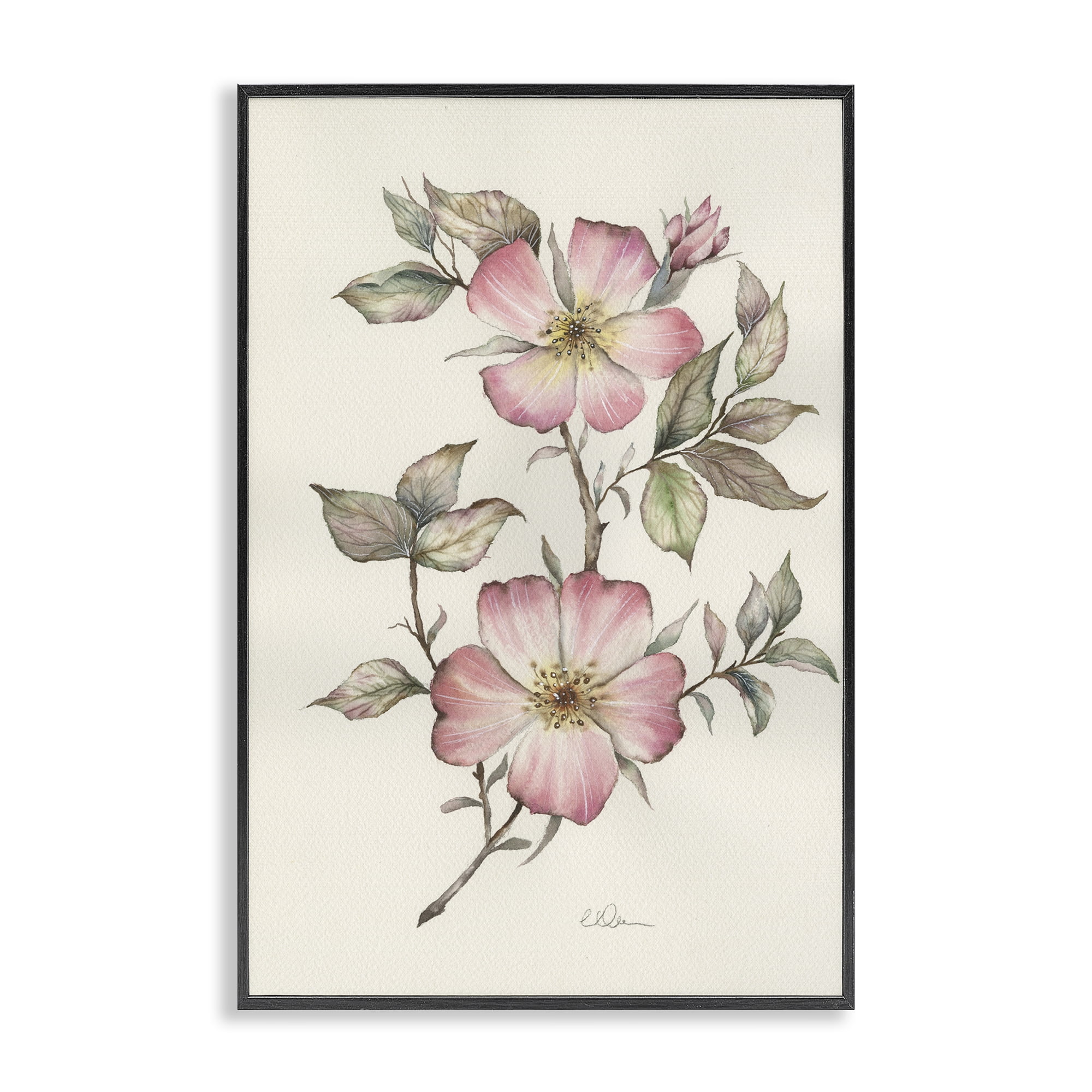 Stupell Industries Two Flowers Natural Study Black Framed Giclee Art, design by Cady Driver