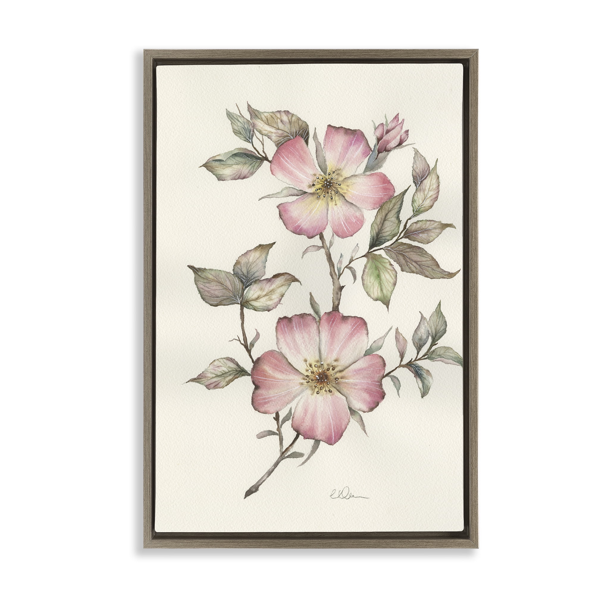 Stupell Industries Two Flowers Natural Study Brown Framed Floater Canvas Wall Art, design by Cady Driver