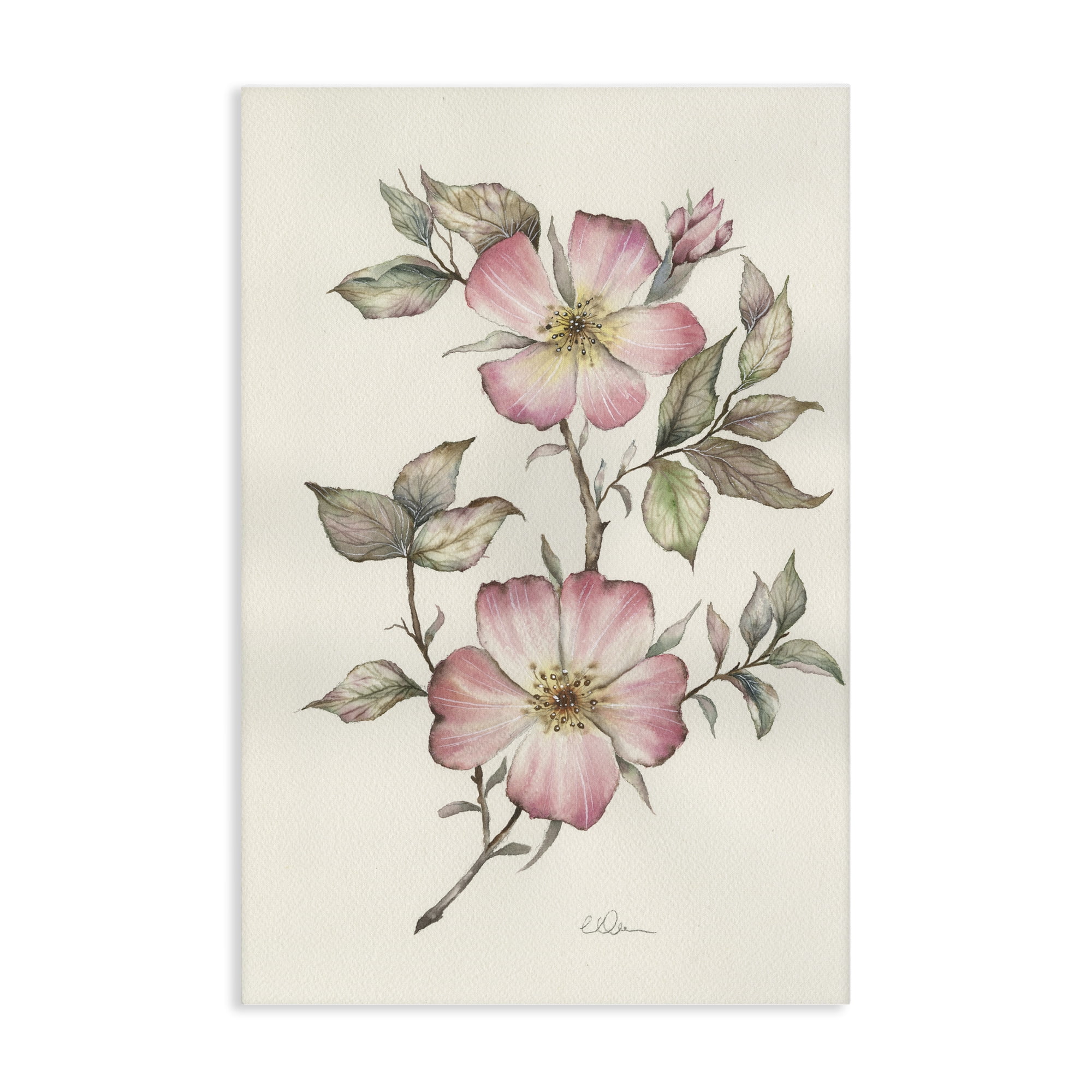 Stupell Industries Two Flowers Natural Study Canvas Wall Art, design by Cady Driver