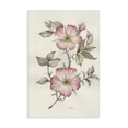 thumbnail image 1 of Stupell Industries French Country Two Flowers Natural Study Canvas Art, 16 x 24, by Cady Driver, 1 of 8