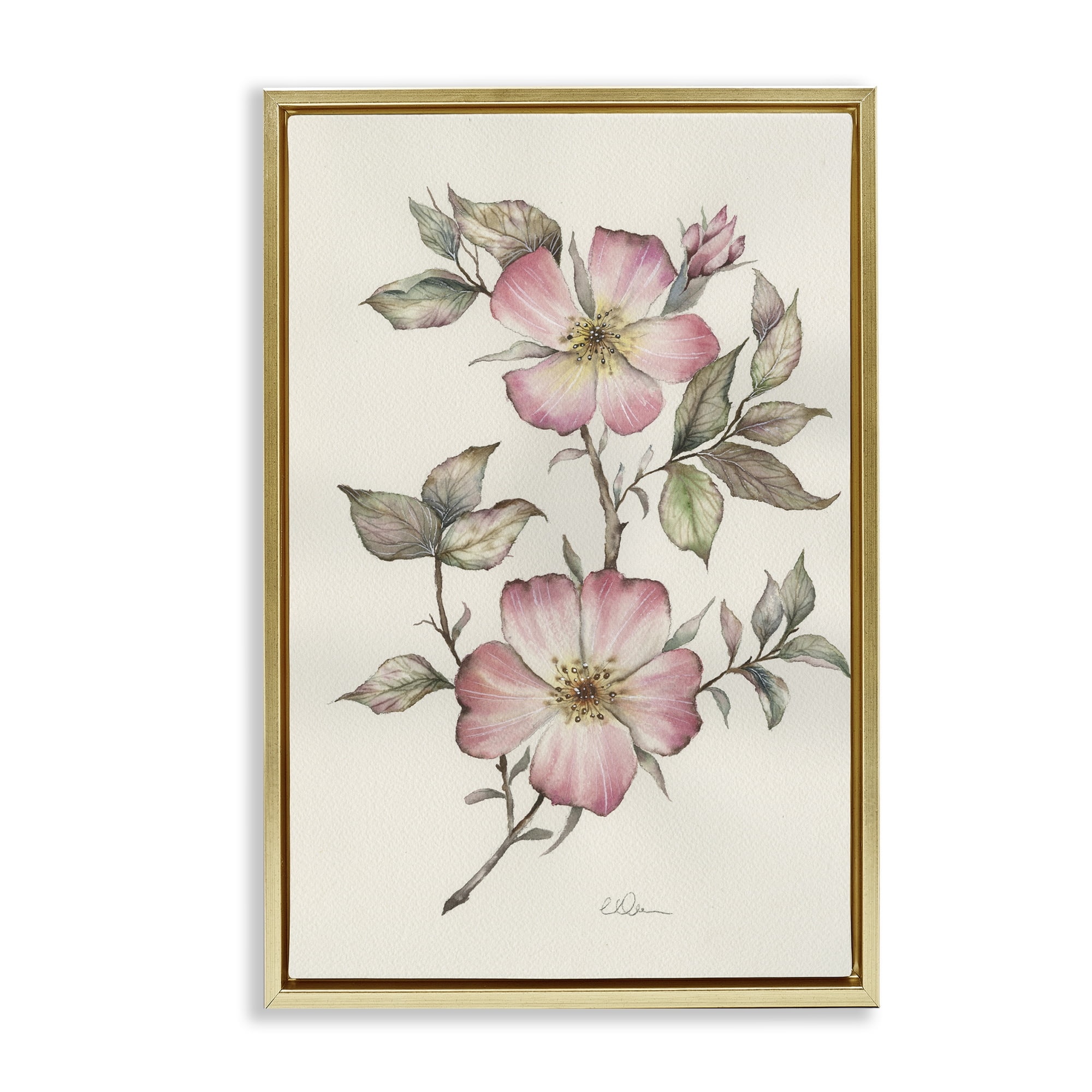 Stupell Industries Two Flowers Natural Study Gold Framed Floater Canvas Wall Art, design by Cady Driver