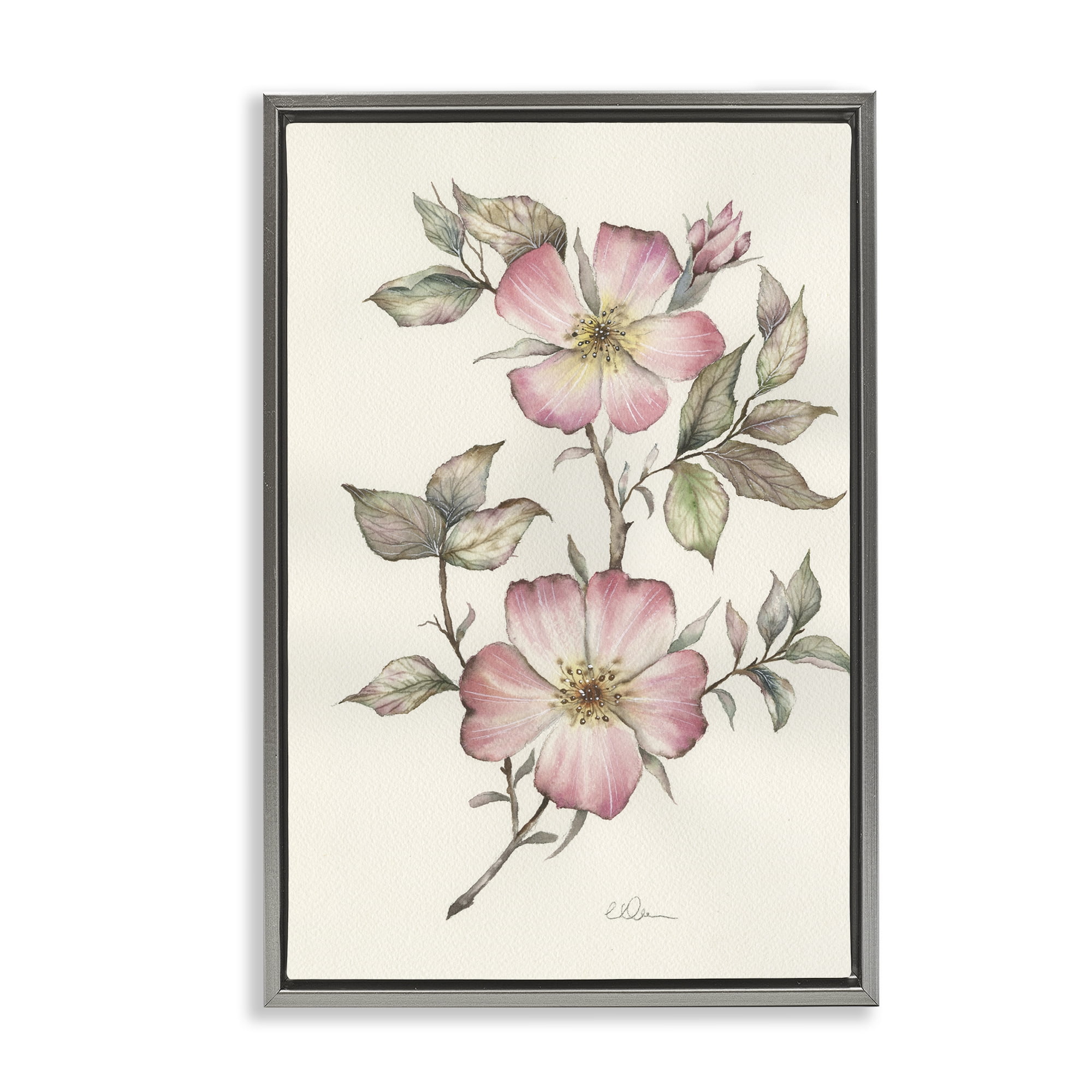 Stupell Industries Two Flowers Natural Study Gray Framed Floater Canvas Wall Art, design by Cady Driver