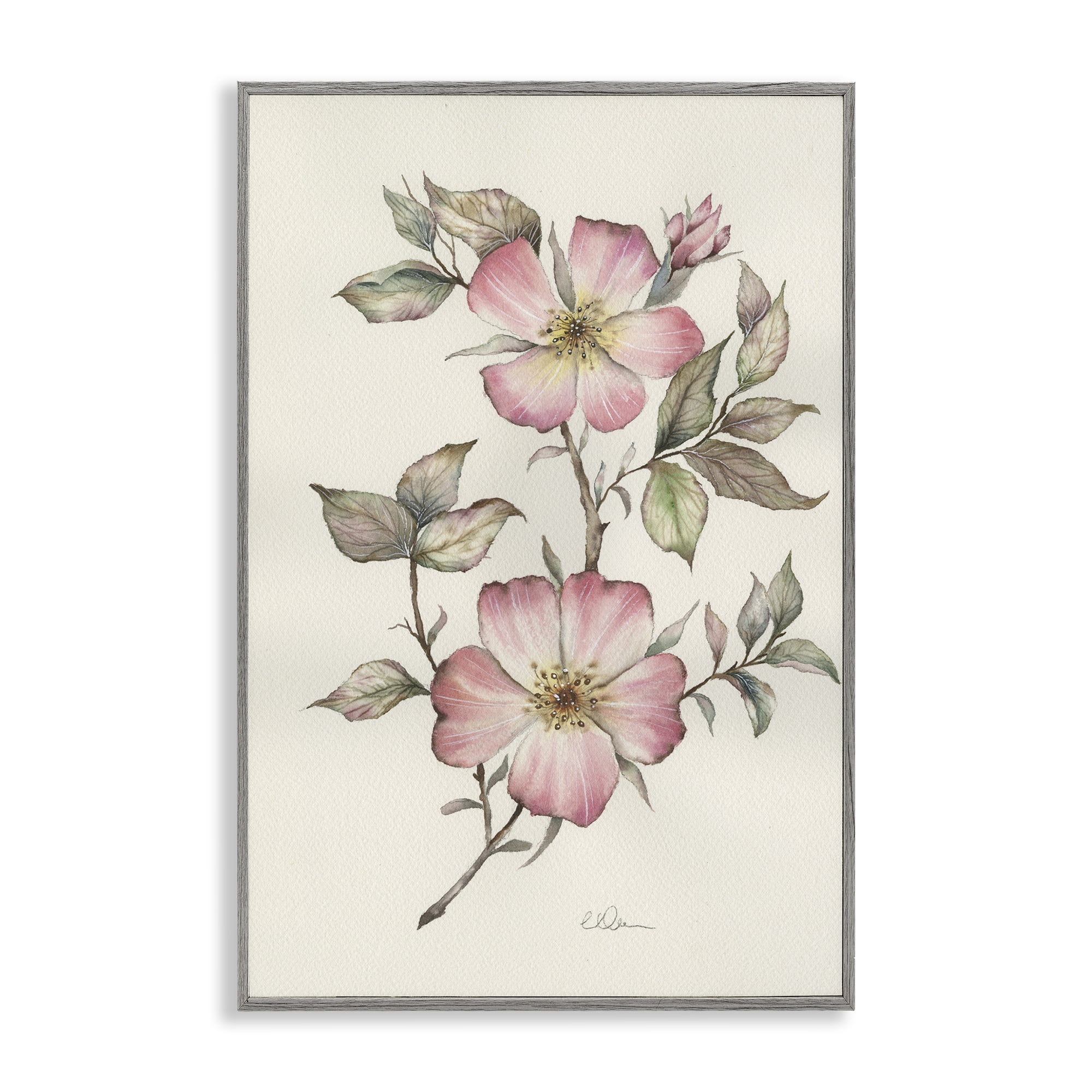 Stupell Industries Two Flowers Natural Study Gray Framed Giclee Art, design by Cady Driver