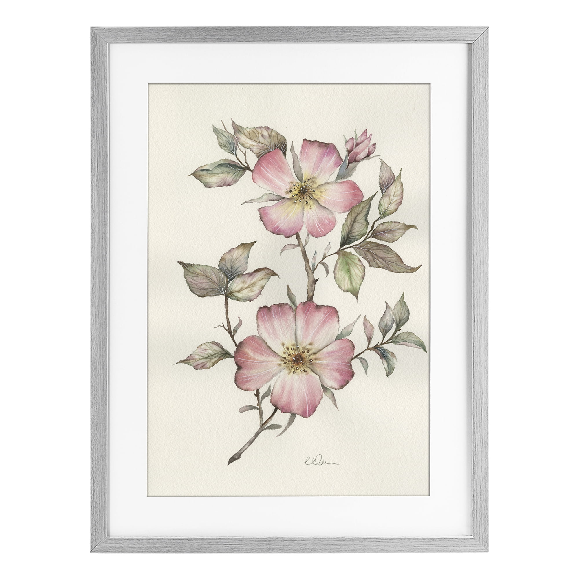 Stupell Industries Two Flowers Natural Study Gray Framed Print Under Glass, design by Cady Driver