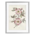 thumbnail image 1 of Stupell Industries French Country Two Flowers Natural Study Gray Framed Print Under Glass, 14 x 20, by Cady Driver, 1 of 8