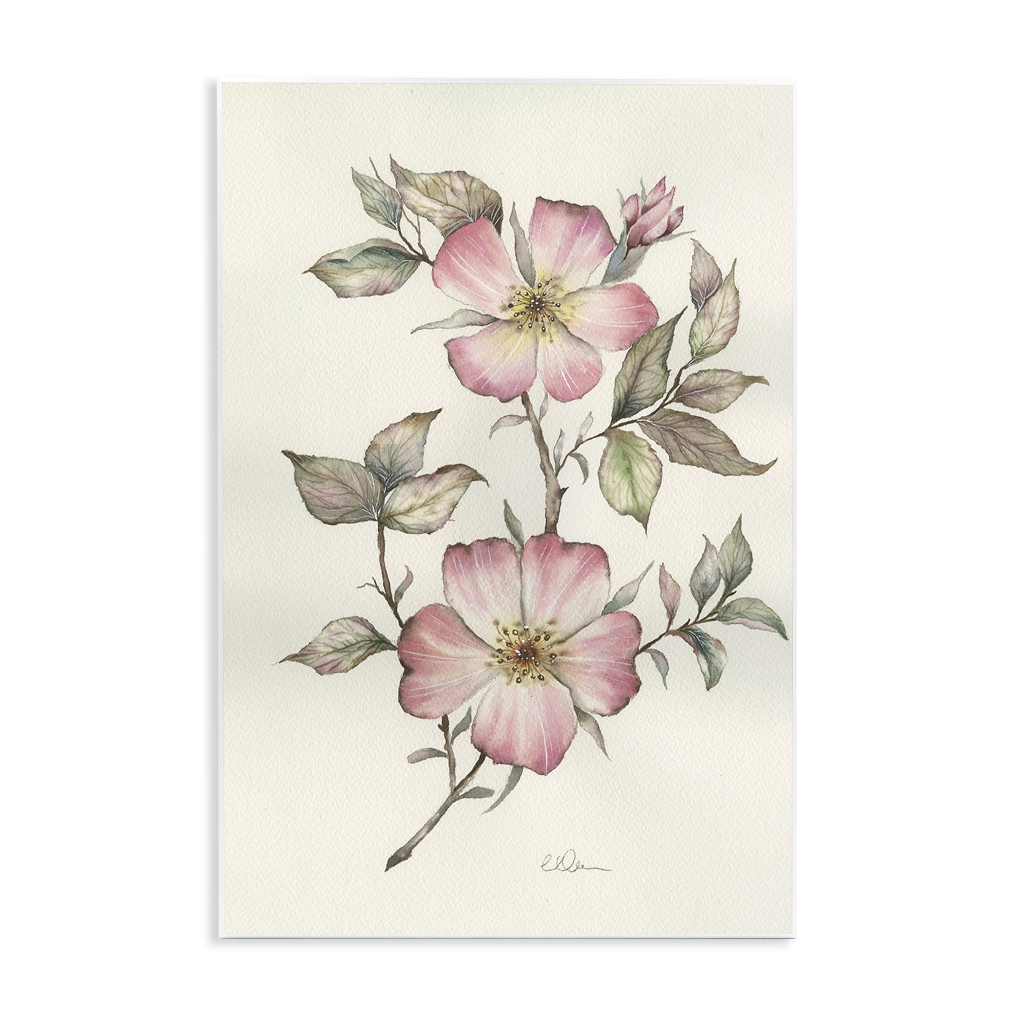 Stupell Industries Two Flowers Natural Study Wall Plaque Art, design by Cady Driver