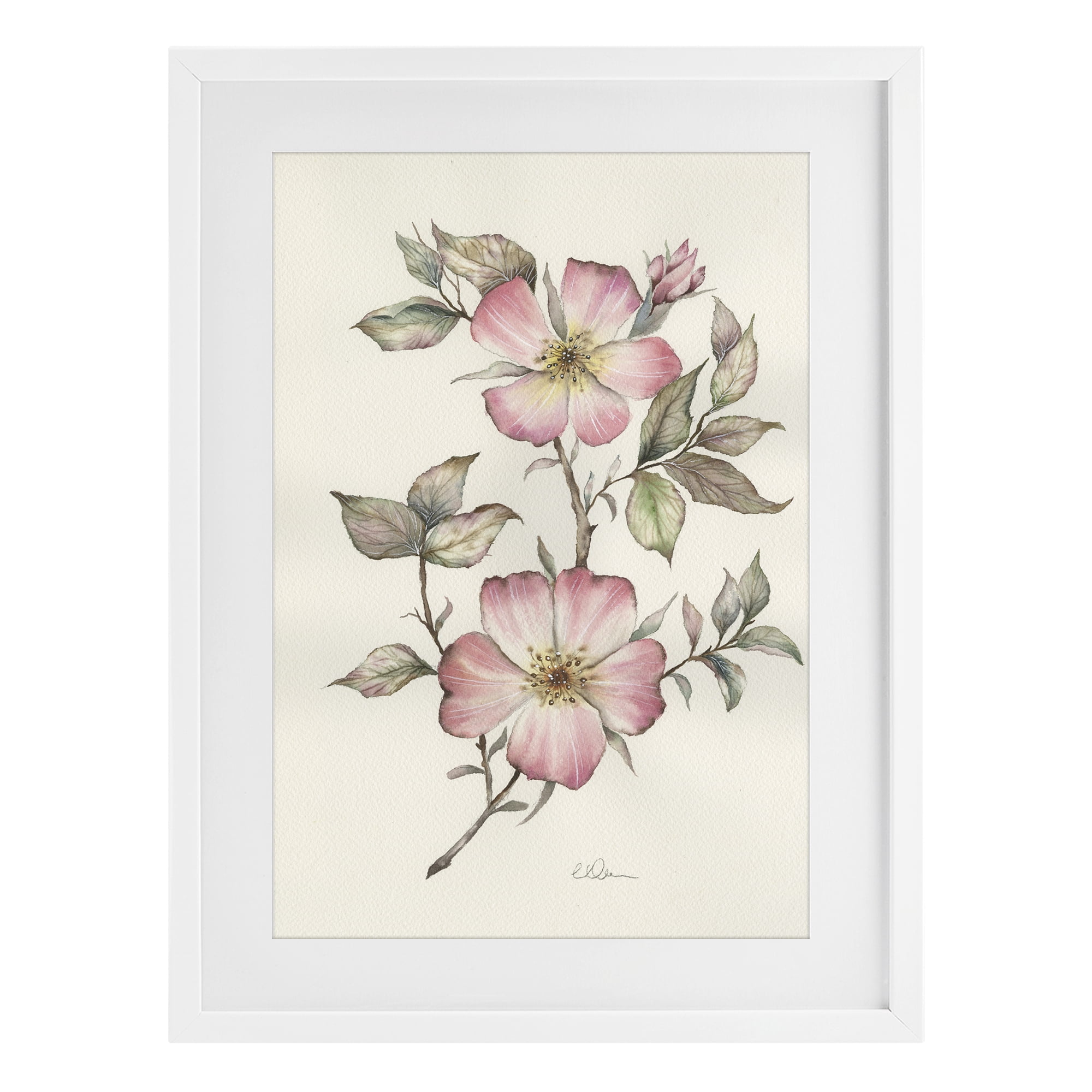 Stupell Industries Two Flowers Natural Study White Framed Print Under Glass, design by Cady Driver
