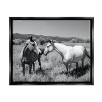 Stupell Industries Two Horses Photography Landscape Photography Black Floater Framed Canvas Art Print Wall Art, 21 x 17