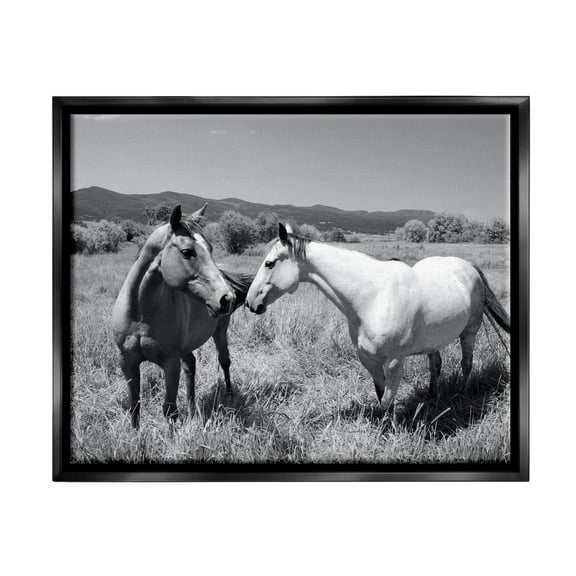 Stupell Industries Two Horses Photography Landscape Photography Black Floater Framed Canvas Art Print Wall Art, 21 x 17