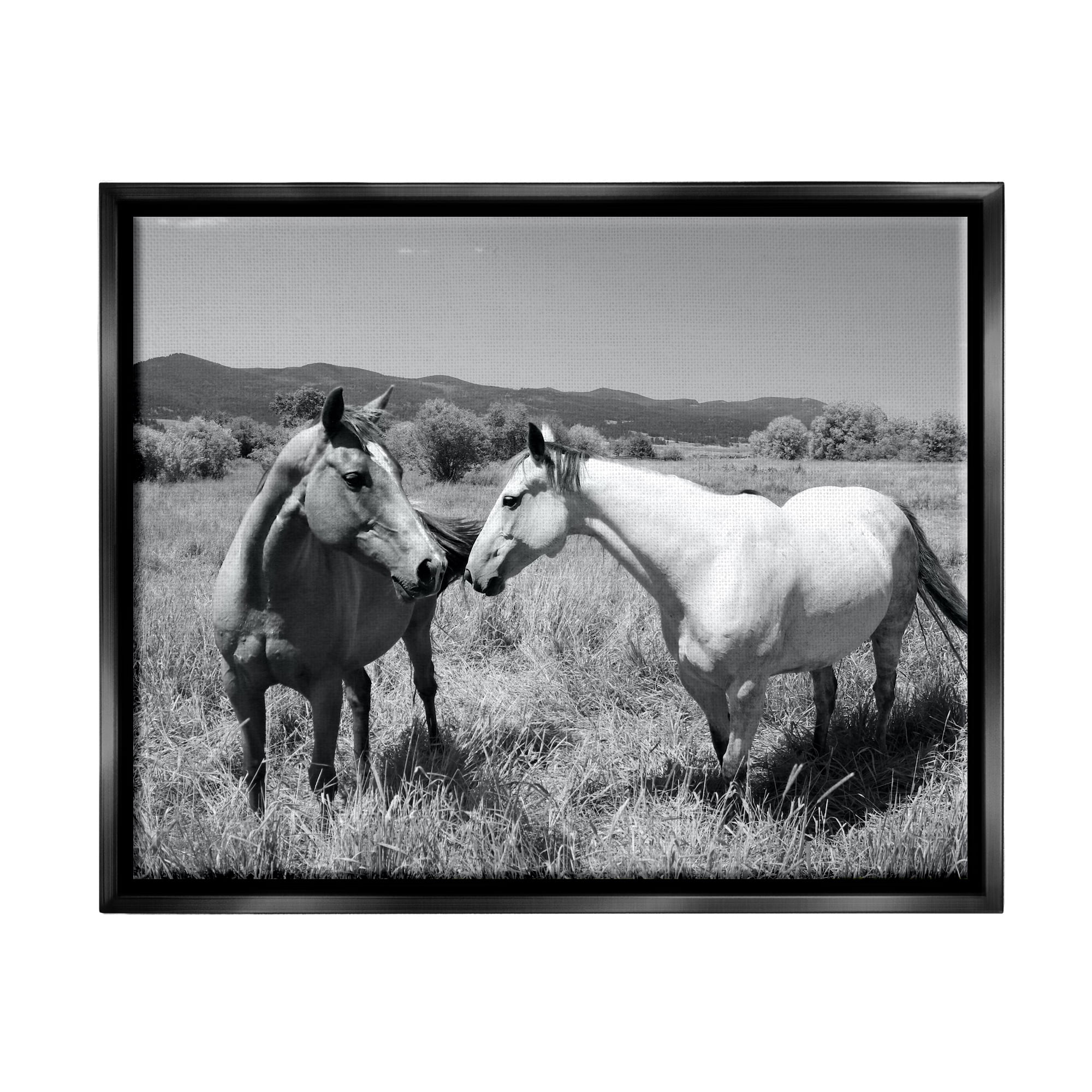 Stupell Industries Two Horses Photography Landscape Photography Black Floater Framed Canvas Art Print Wall Art, 31 x 25